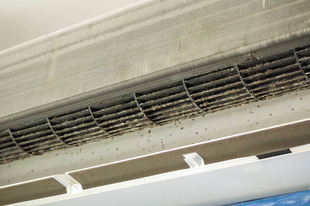 Best Commercial HVAC Duct Cleaning  in Cheree, OK